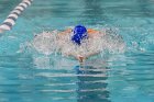 Swimming vs Bentley  Wheaton College Swimming vs Bentley. - Photo By: KEITH NORDSTROM : Wheaton, Swimming, Bentley